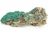 Sparkling Dioptase Crystals on Gemmy Dolomite - N'tola Mine #209706-2
